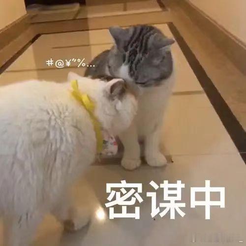 车企的小秘密这下藏不住了“买车路上暗藏玄机，每个细节都牵动钱包。AI不带感情，却