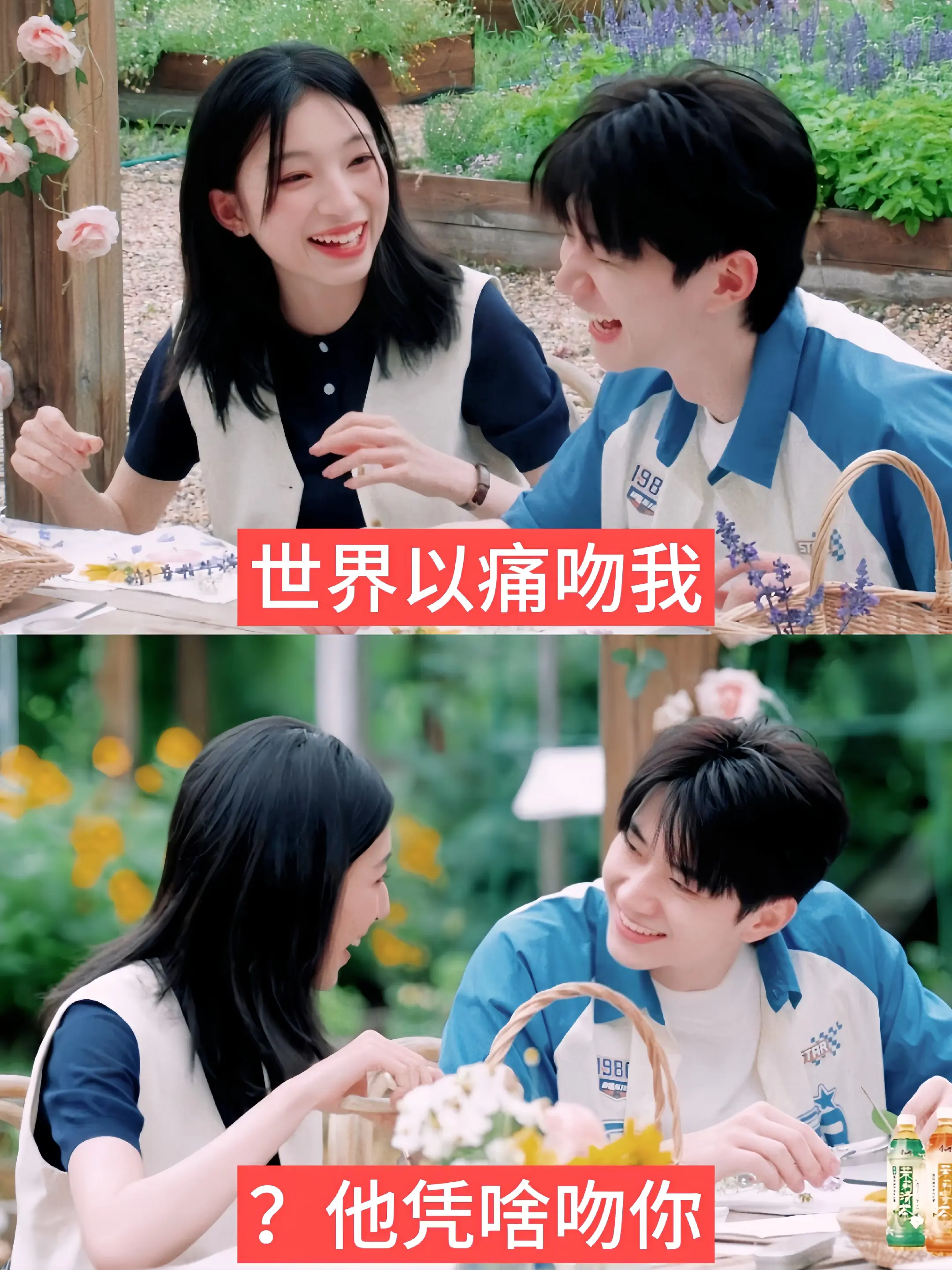 凭啥吻你。