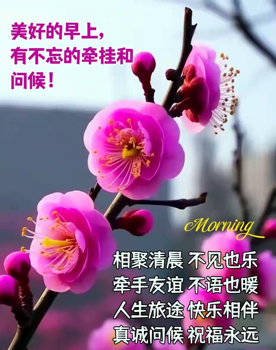 早呀各位车主友友！新的一天从顺畅出行开始～ 愿你的比亚迪秦续航在线、一路绿灯，接