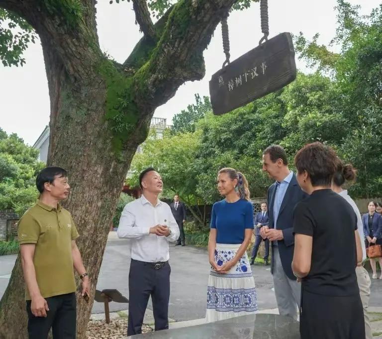 相比一些国家，巴沙尔的坚韧确实令人钦佩，出道于医生，继承父兄之遗志，在战火纷飞，