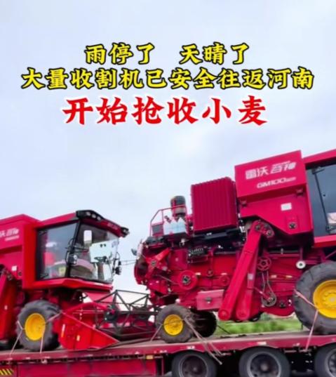 你相信吗？ 河南抢收小麦从不缺收割机！ 为啥外省收割机纷纷奔赴河南抢收小麦？原因