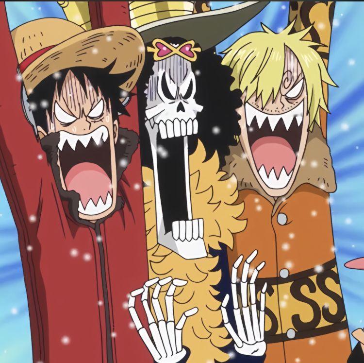 海贼王 海贼王 草帽团里欢乐多 