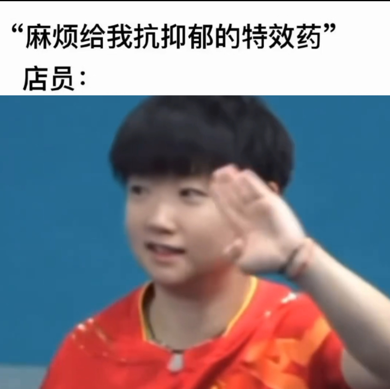 世界破破烂烂 猫猫缝缝补补Like SHASHA Like MEME