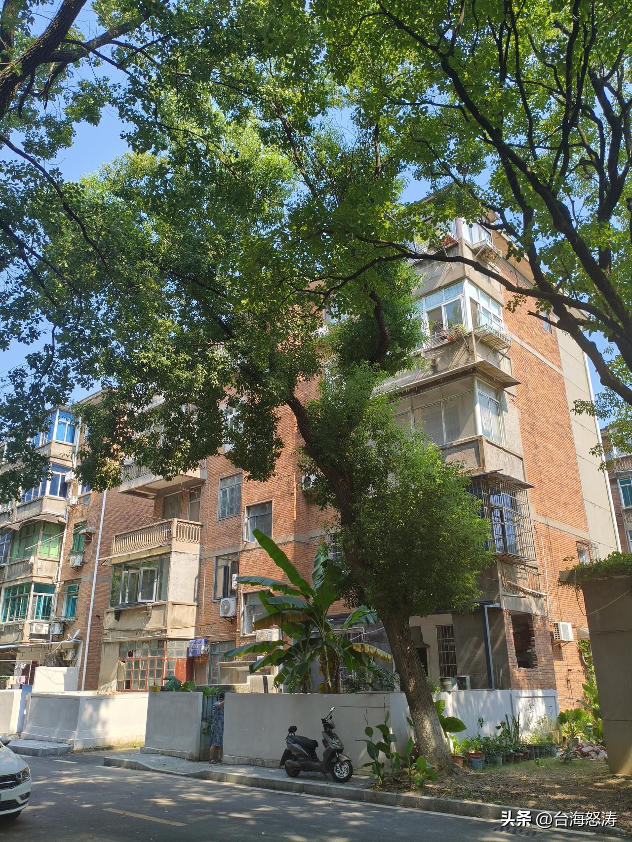 大陆推出网站“台青e家”，台湾陆委会称这涉及对台“未统先治“，将下架或屏蔽网站，