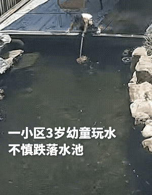 小区园区里，妈妈带着3岁幼童玩，孩子在木板上走，不小心滑入了水池，危机时刻，好邻