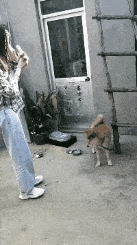狗这是特别的嫌弃[捂脸][捂脸][捂脸]