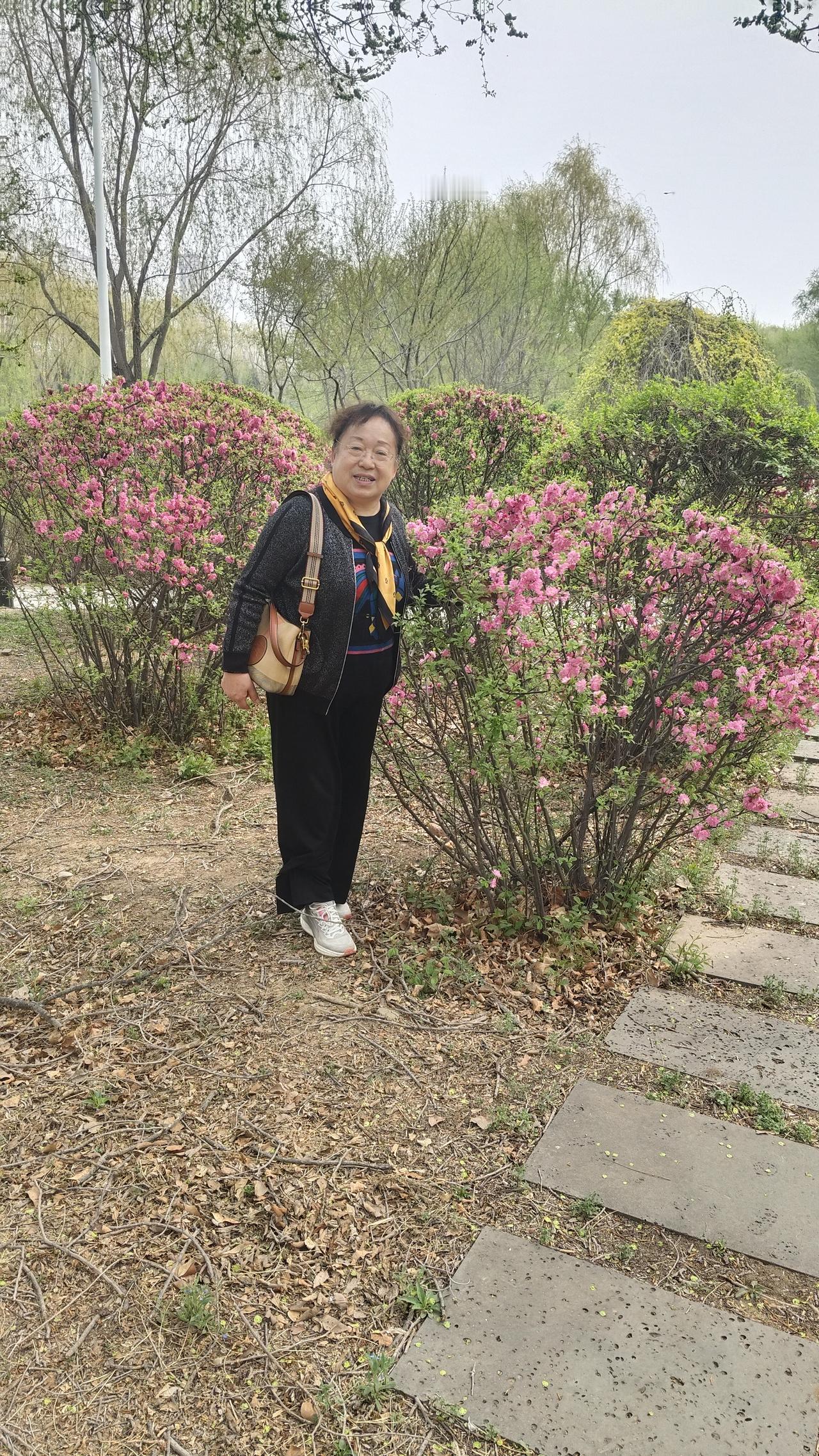 公园湖畔随手拍春风自来，花期自谢，走进春暖花开时，心情愉悦。