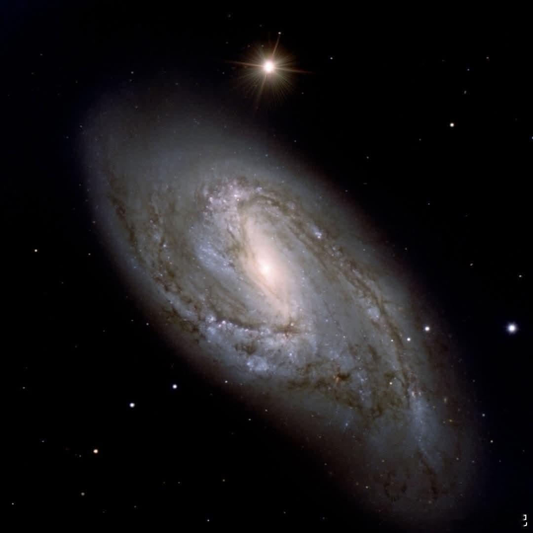 这个壮观的螺旋星系，被称为NGC 3627或Messier 66，位于狮子座内，