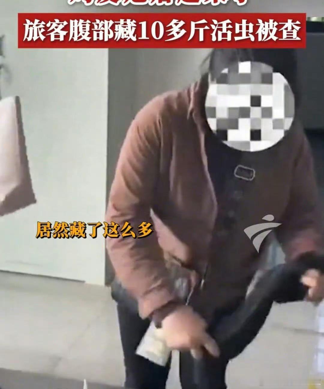 女子裤子内藏2斤多活虫入境带这个来干嘛细思极恐海关还是要严查啊 这也太吓人了 