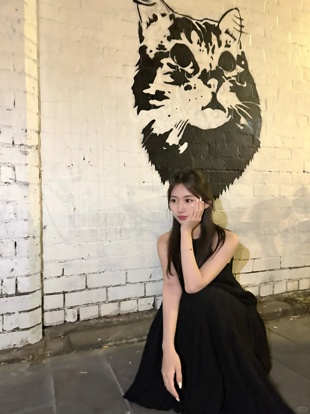 black cat🐈‍