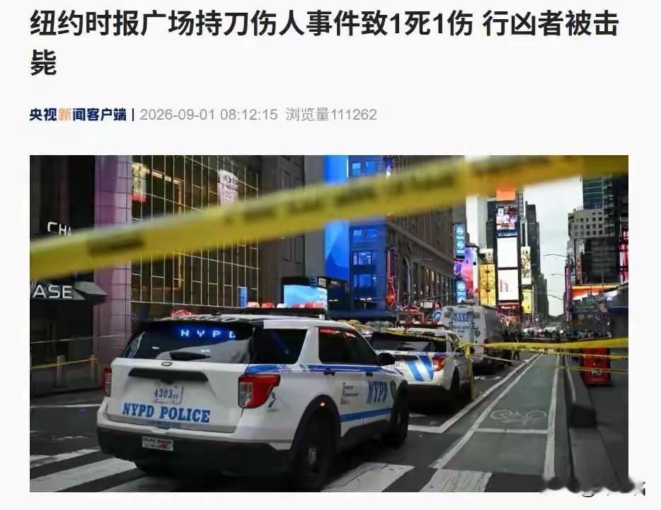 32岁，宾大毕业，美国银行副总裁，上个月刚和丈夫过完结婚两周年。艾琳·皮亚琴蒂的