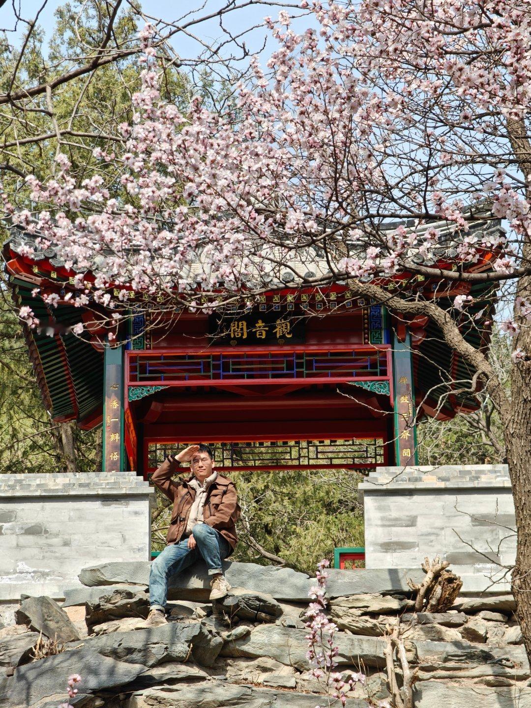 樱花、桃花、梅花、争先开放……​春已到，宜踏青🌸[太阳]Shot On OPP