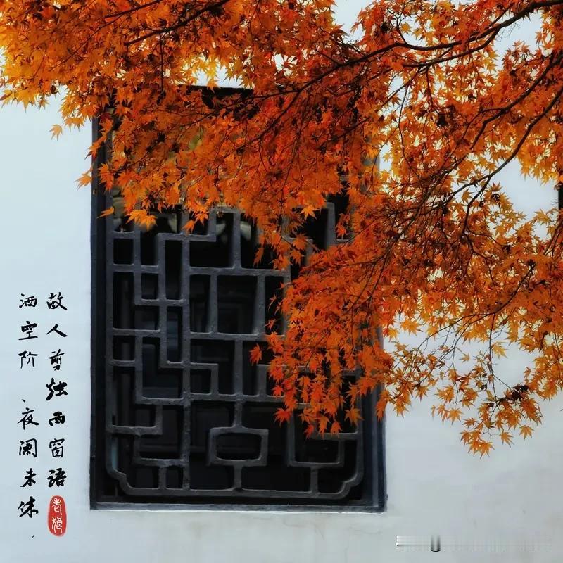 上联：闲庭叶落秋声起，诚邀下联，，墙头红杏春撩人！[送自己一朵花]