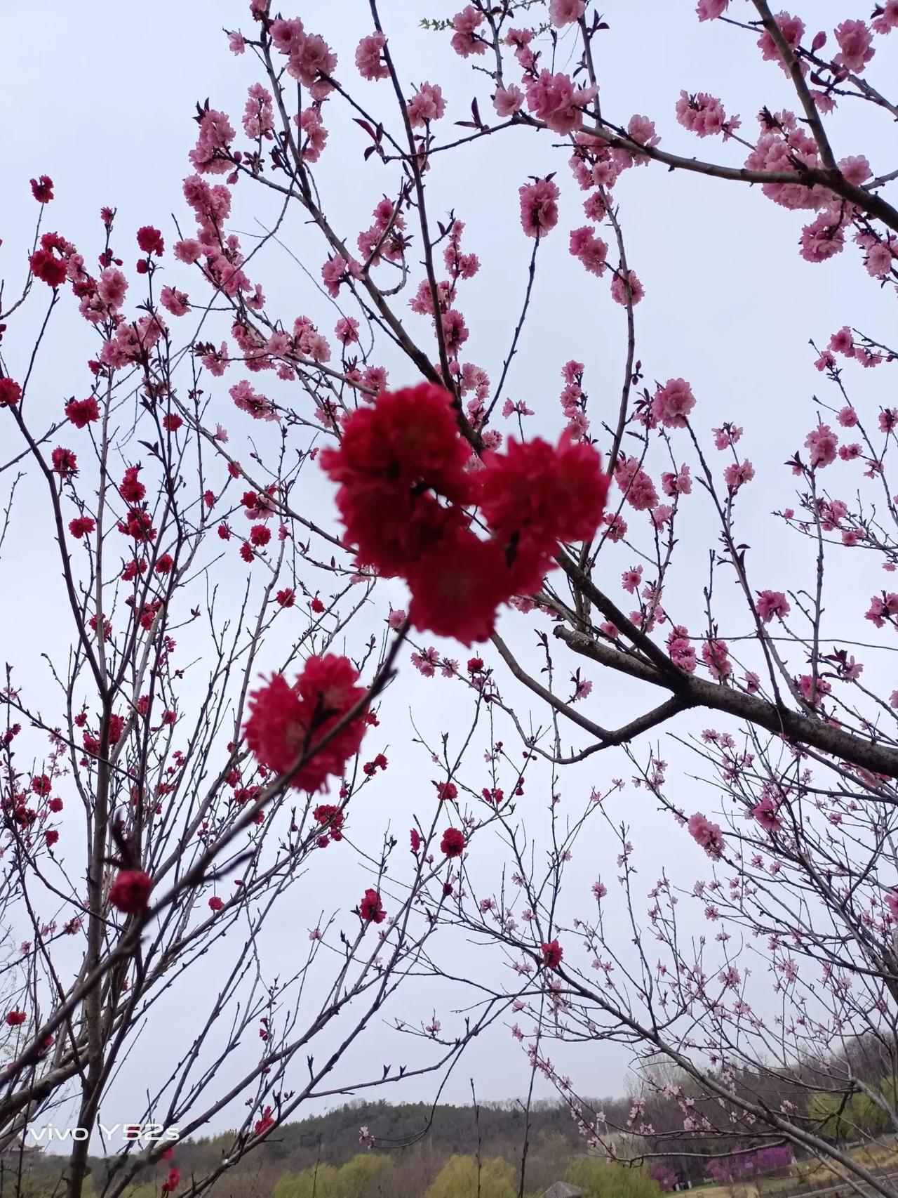 春暖花开时，春风渐暖，空气里透着清新的气息，脱下繁重的厚衣换上轻盈漂亮的春装，换
