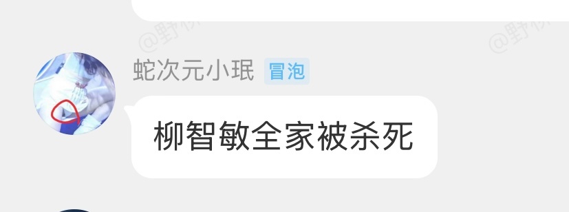 宁艺卓你粉丝这样子骂柳智敏和柳智敏家人 你管不管你粉丝呀