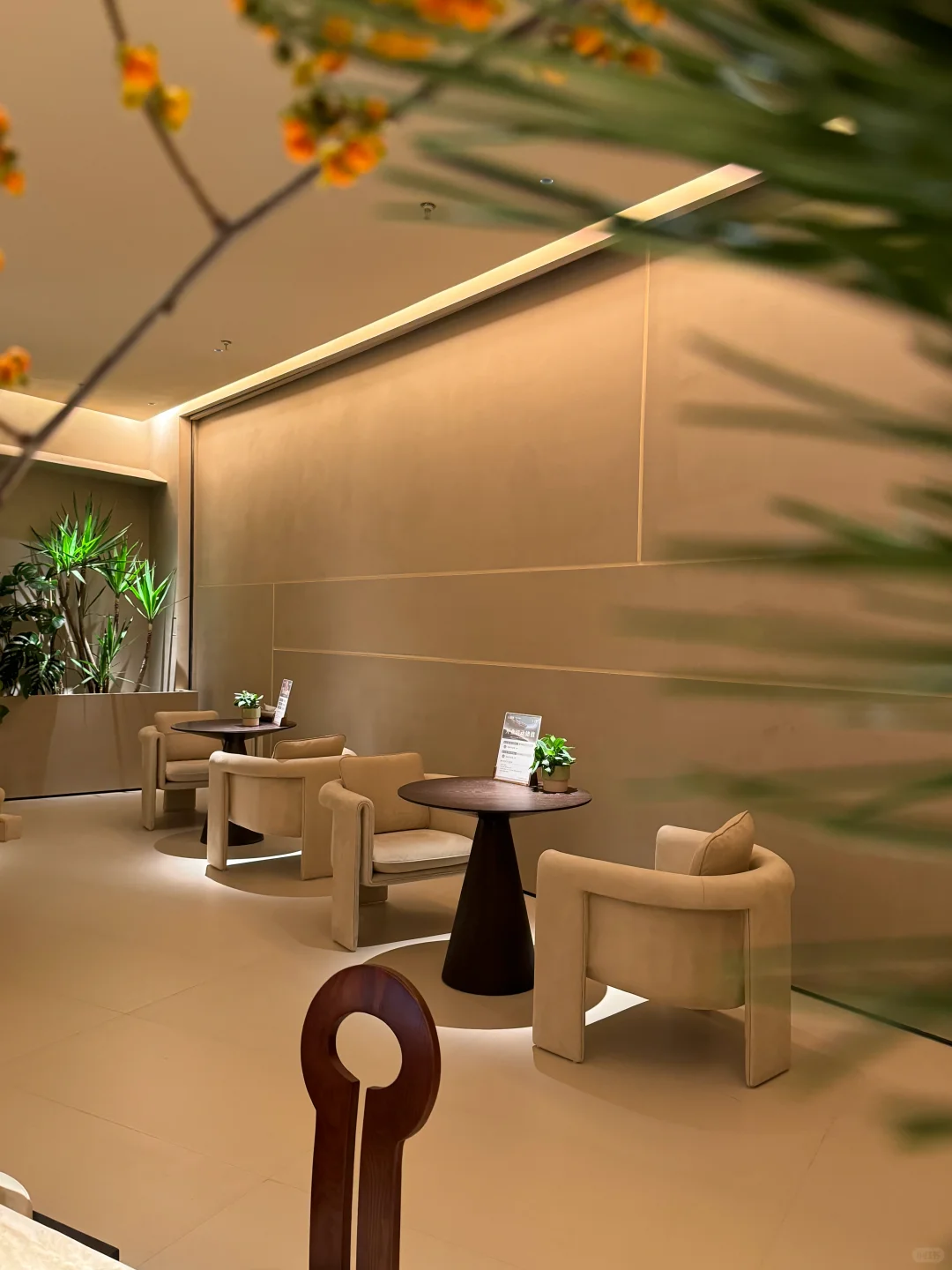 我愿称之为合肥第二舒服的地方！！不开玩笑！