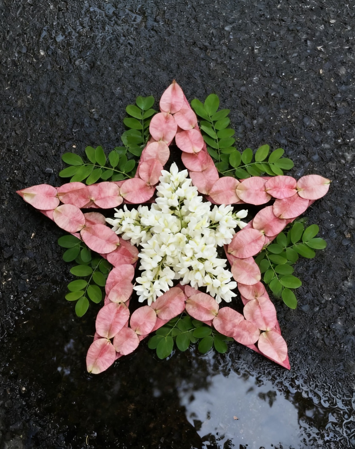 每一片树叶，每一片花朵，都是一场盛大的秋！ 
