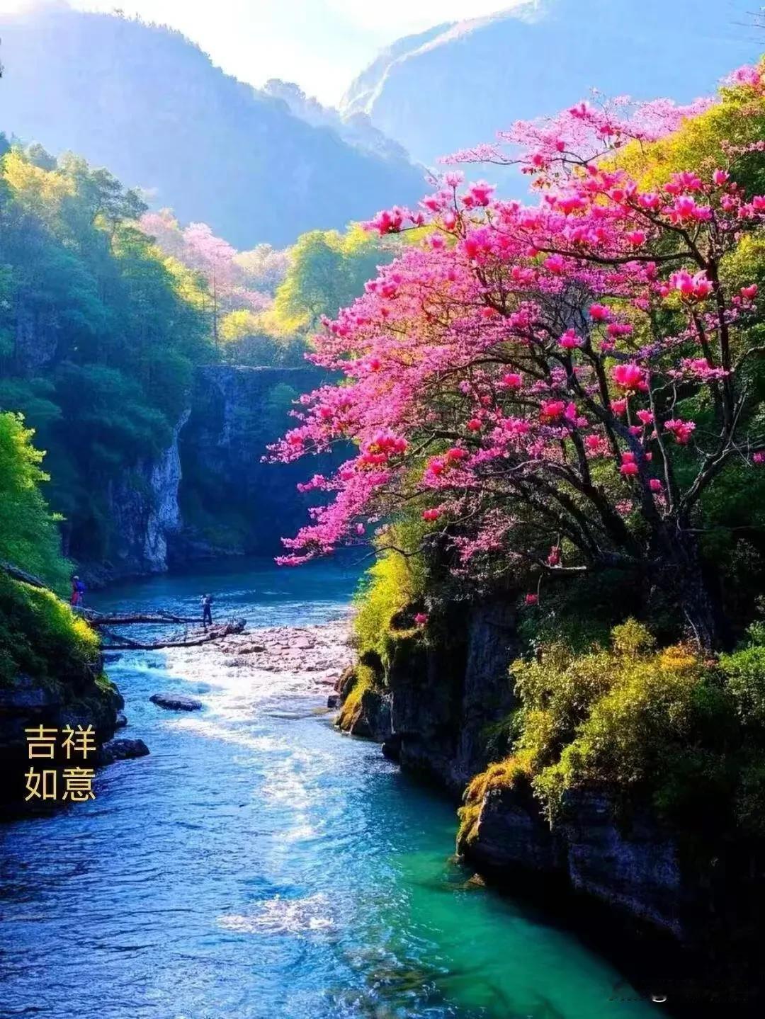 《浣溪沙·晨寄良愿》

旭日出尘送吉祥，
流年风物蕴花香。
清声鸟语伴韶光。
