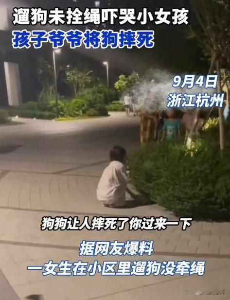 没拴狗绳，直接摔死！浙江杭州，女子在小区里遛狗没牵绳，吓到了在玩耍的小女孩，女孩