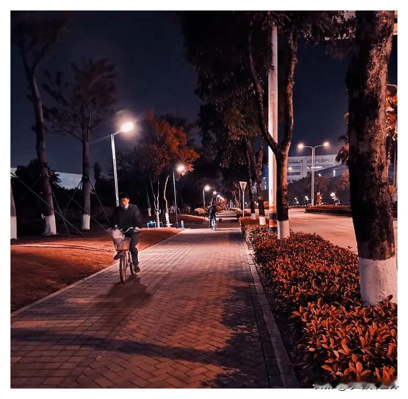 现在很多人不吃晚餐了，你也是吗有吗，谁不吃晚班，你给我点出来，我问问是不是真的！