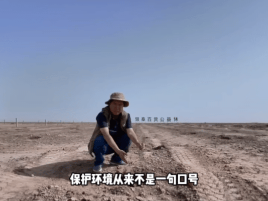 武威民勤的绿色进度条更新了草木微光筑牢生态防线民勤戈壁梭梭迎长势，幼苗地上枝干纤