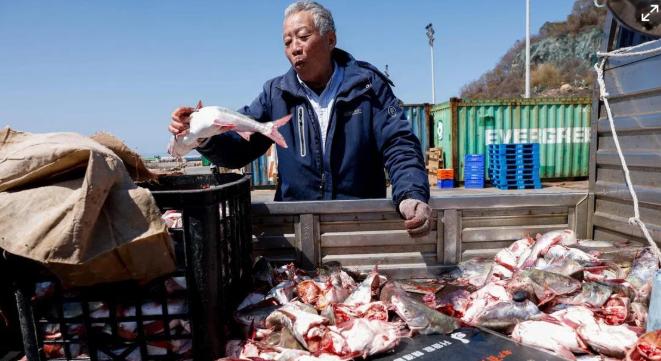 终于出手！大陆撤掉对台十几年关税优待，最惨的根本不是民进党
 
细数被取消的商品