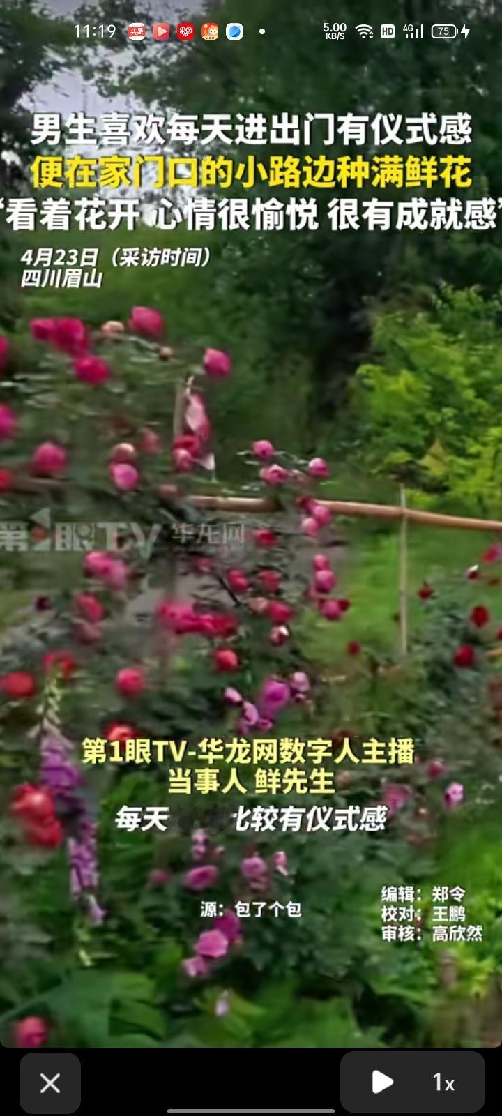 4月22日，眉山市洪雅县。男生喜欢每天进出门有仪式感，就在家门口两边小路种上花，