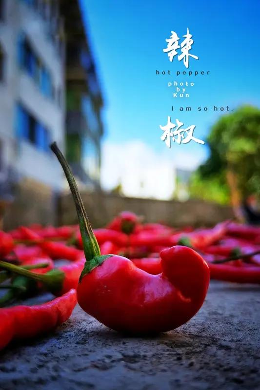 上联：吃春秋冬苦，
下联：品酸甜苦辣。
