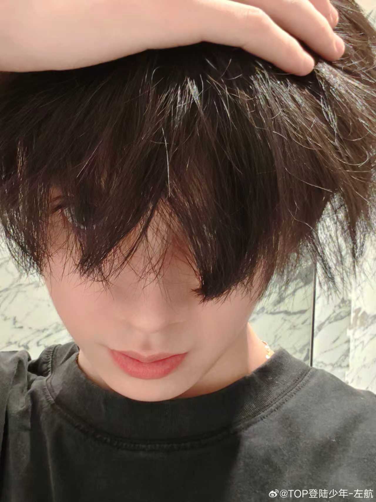 左航新发型加载中 左航新发型加载中，会是狼尾吗？一整个期待住啦！ 