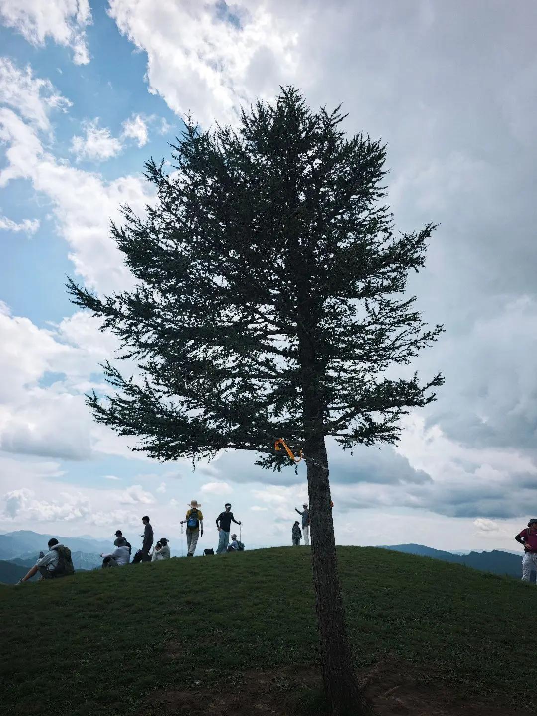 我尝过自由的味道 那是山间的风每周一山北京徒步搭子山上的风景