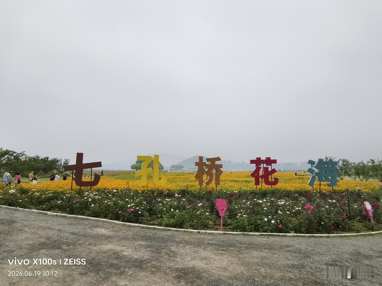 分享随手拍下的花北京昌平七孔桥花海开放，大家快去赏花吧！