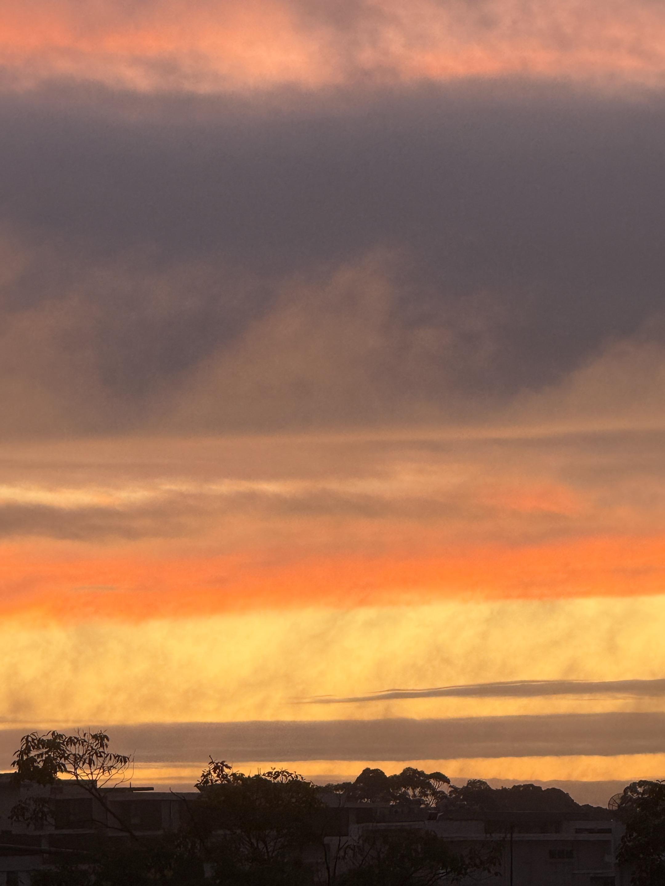 忍不住要拍下来。