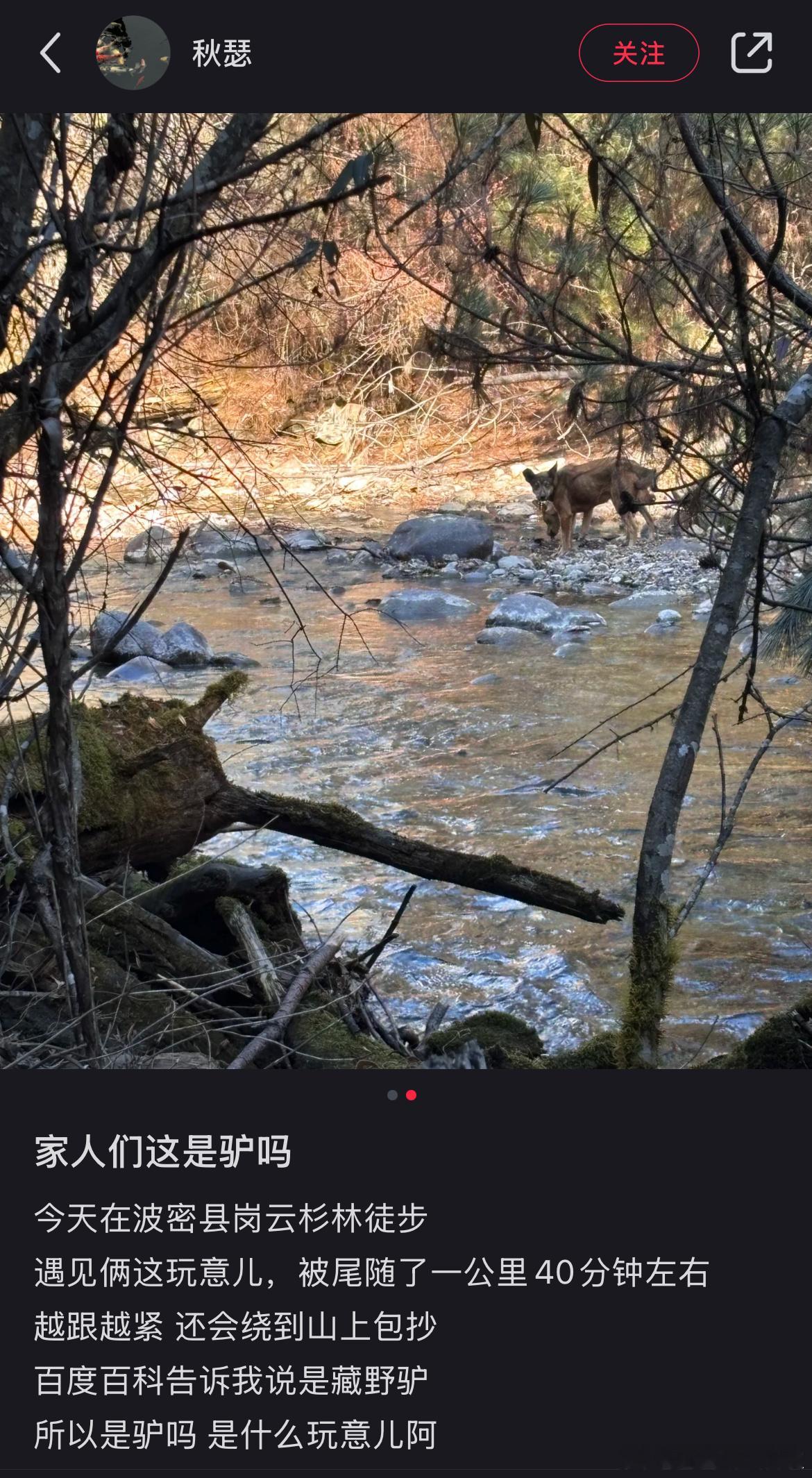 ？？？ 