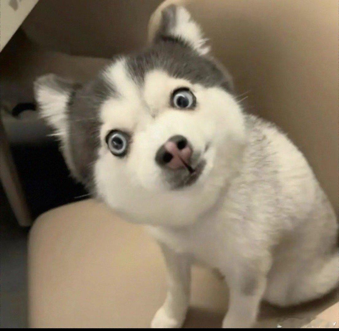 68岁阿姨豪掷92万养老金为男友买表我天，68岁还在为真爱“氪金”！老阿姨豪掷9