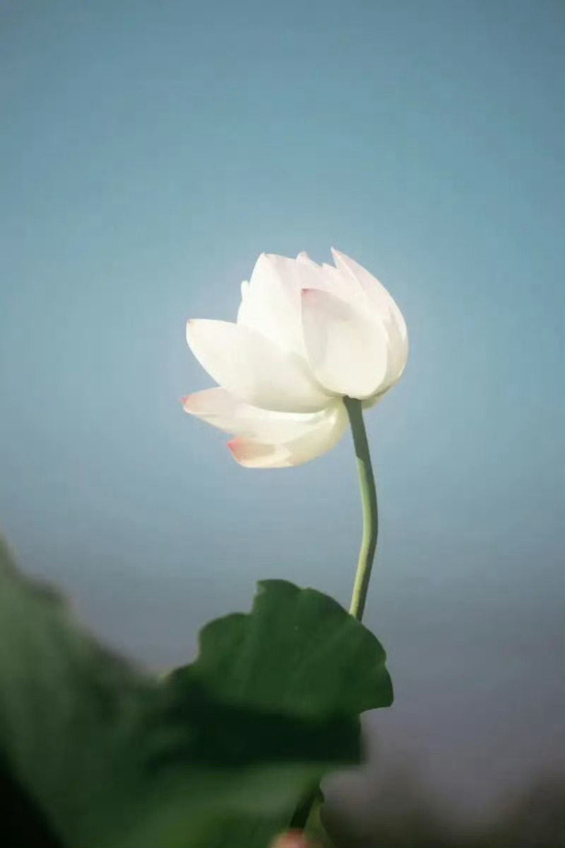 今天又是想要循环I See You的一天，周老师唱歌的叙事能力太强了，很容易给人