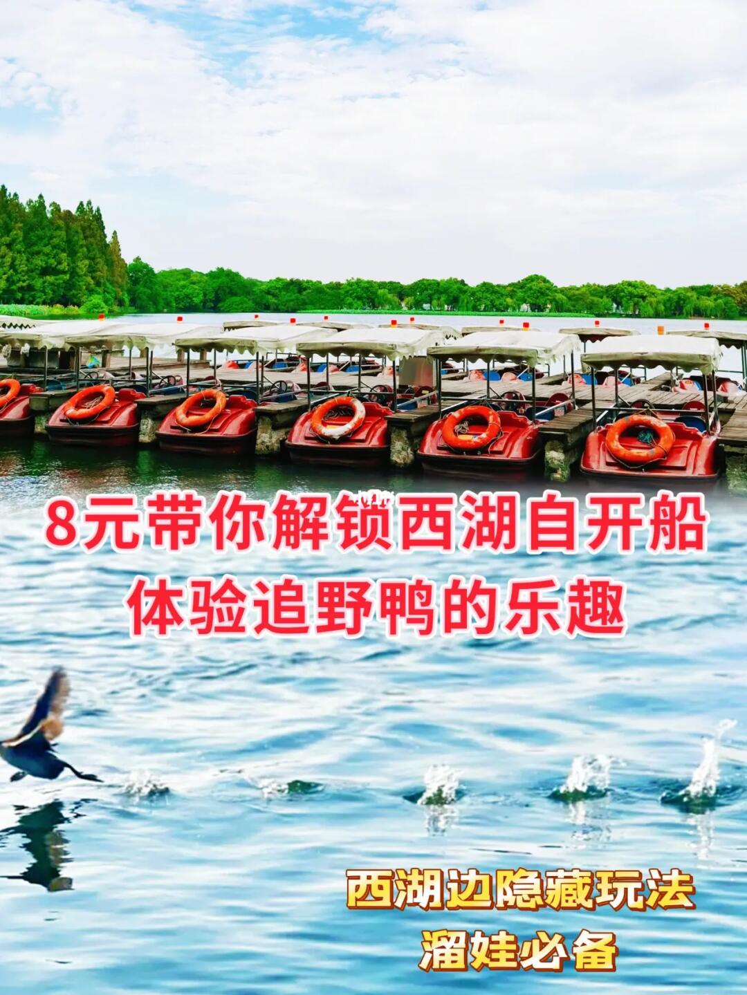 8元带你解锁西湖自开船追野鸭（私藏玩法）