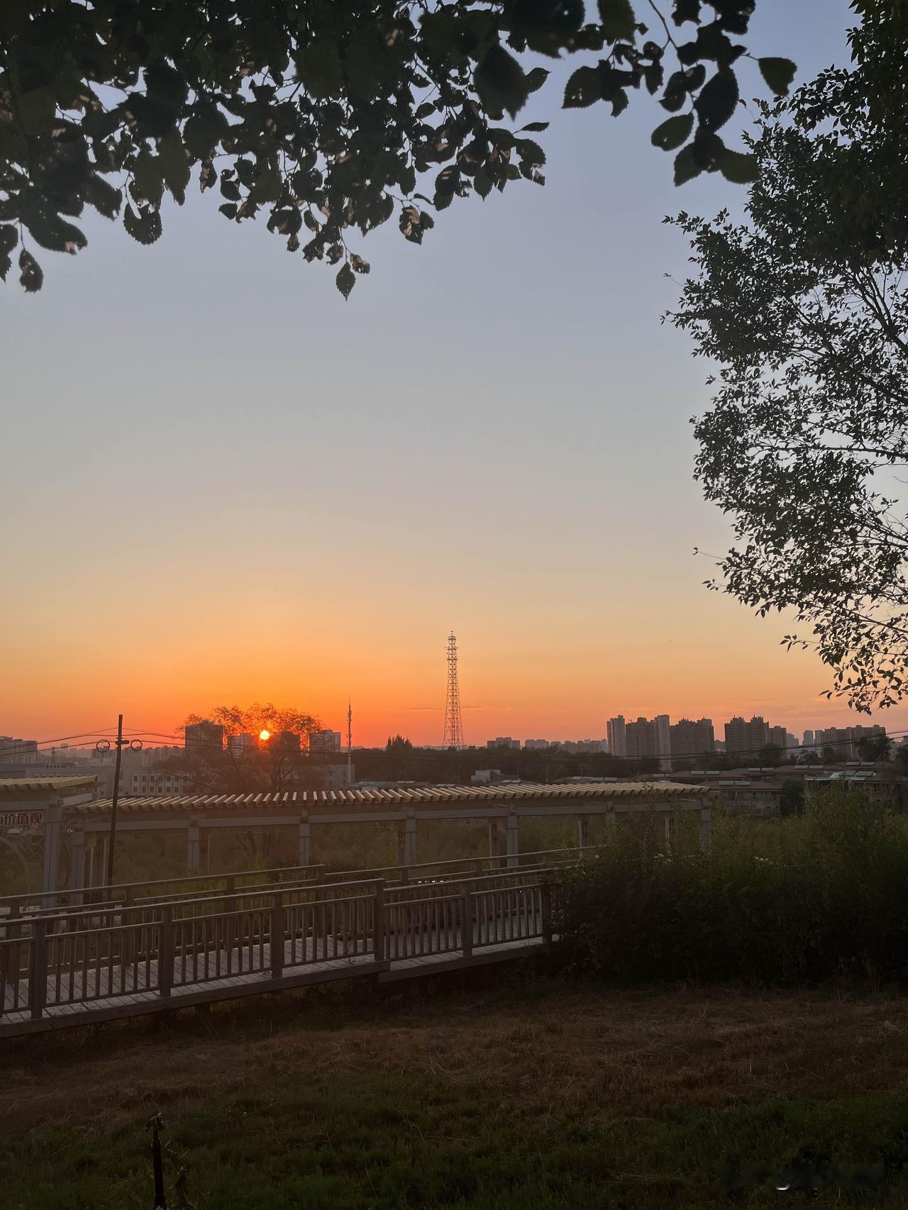 这城市的夜
静谧的月光缥缈中
无数的小星星
把夜空点缀的如诗如画
宛如明亮的眼眸
