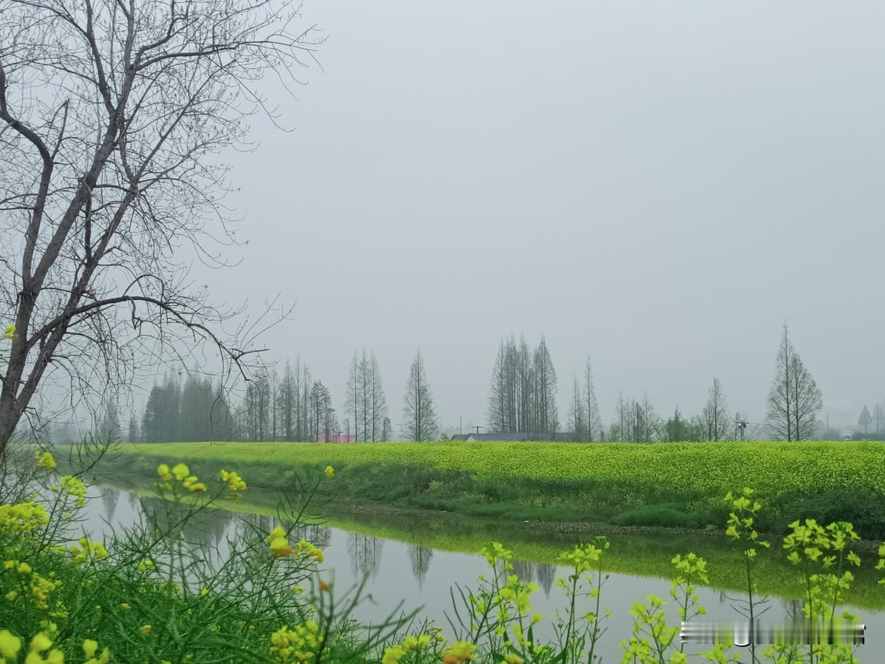 人性的15条扎心铁律，早知道早受益
 
成年人的世界，少点感性幻想，多点理性清醒