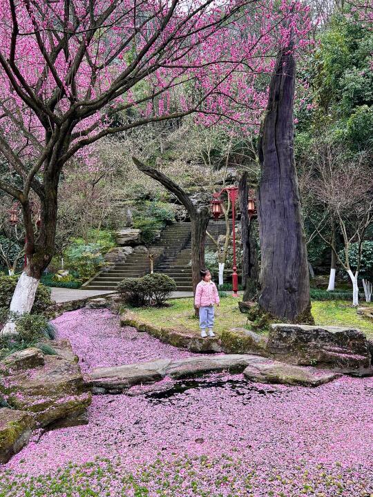 🌸发现了园博园的秘密基地❗️地铁直达