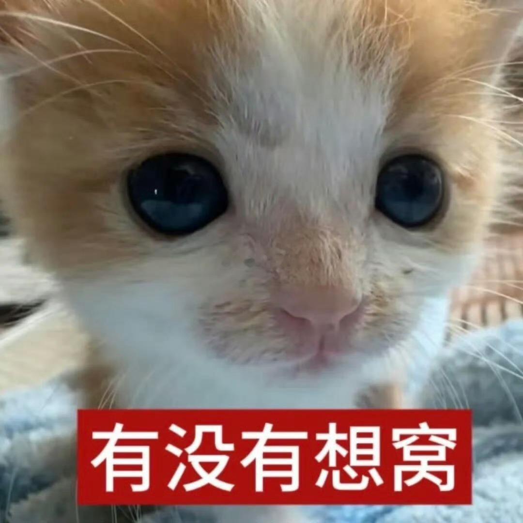 还有人不知道初代纯真已经强势回来了吗