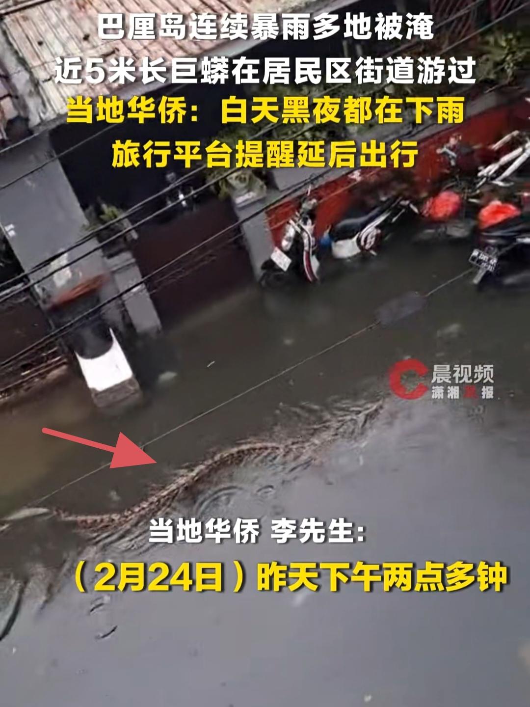 震惊！巴厘岛暴雨中,近5米长巨蟒游过居民区!吓坏行人

巴厘岛正处于雨季，但这次