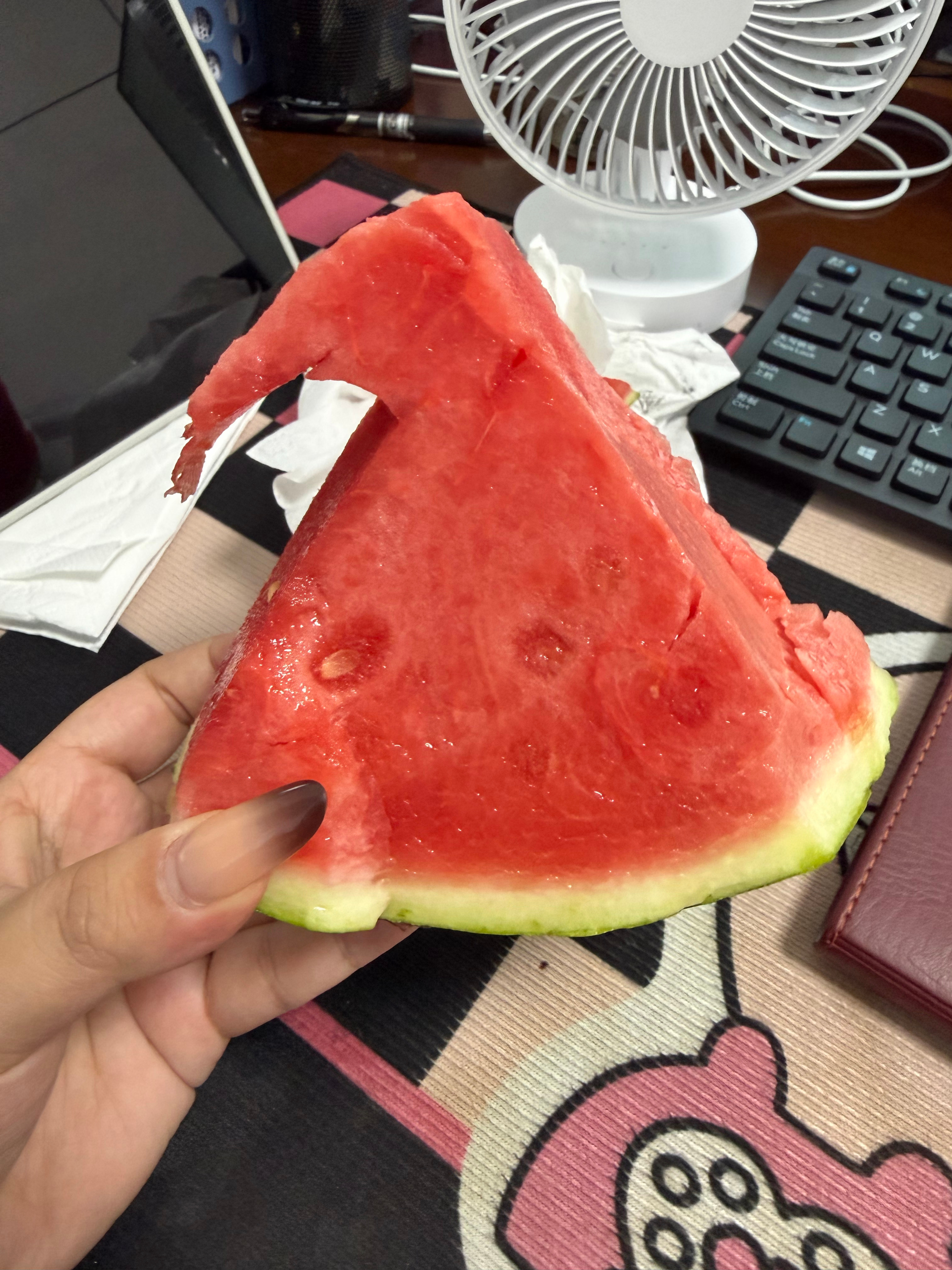 神经病小妈的打工日记 领导突然给我送来好大一块🍉 