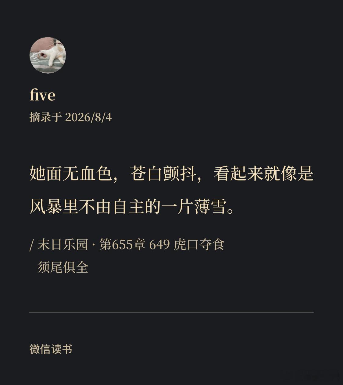 真的写得太好了 
