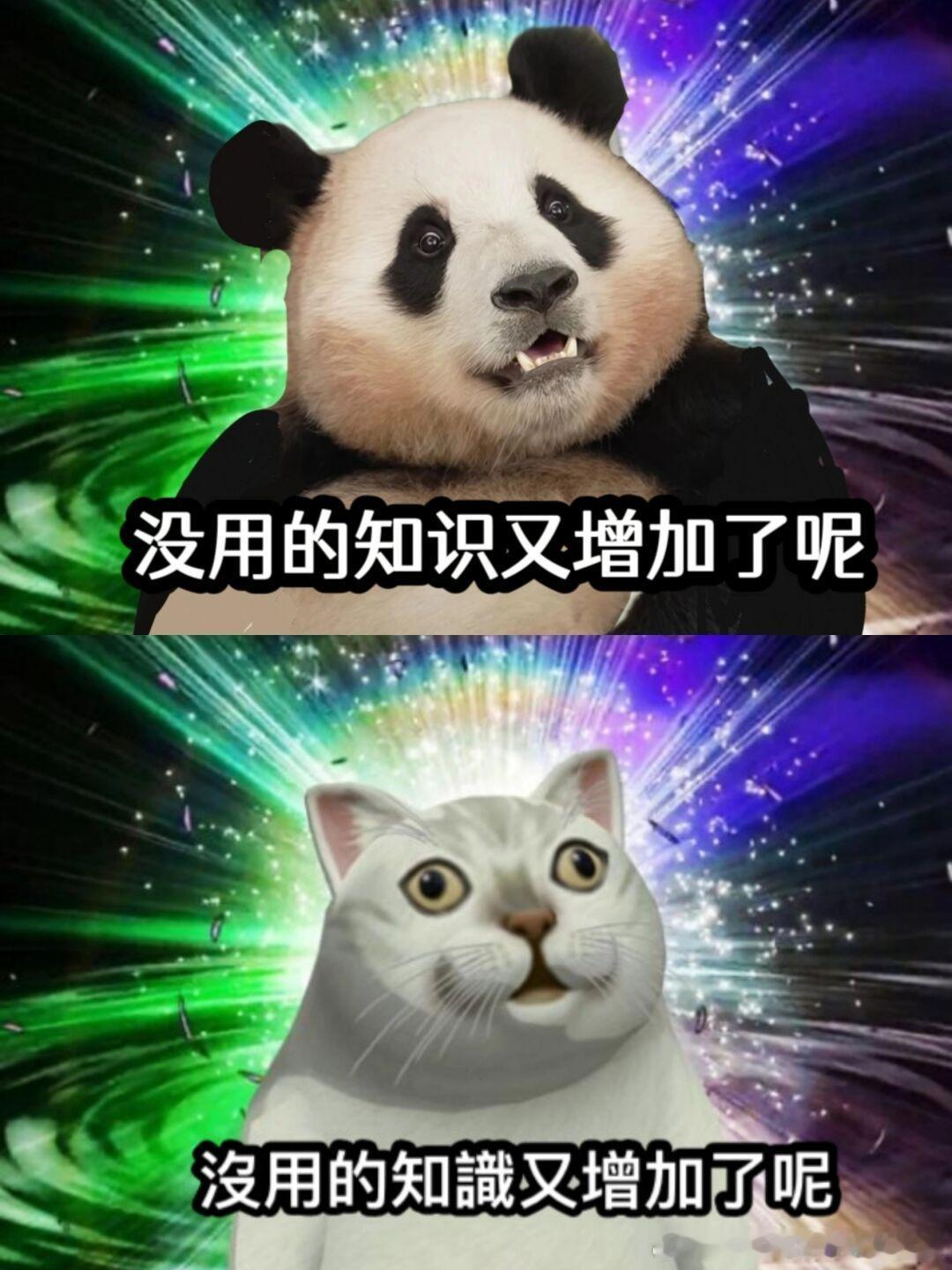 看上去很贵实际便宜又好玩的城市江浙沪除了中心城区，江浙沪之外除了省会城市，都是可