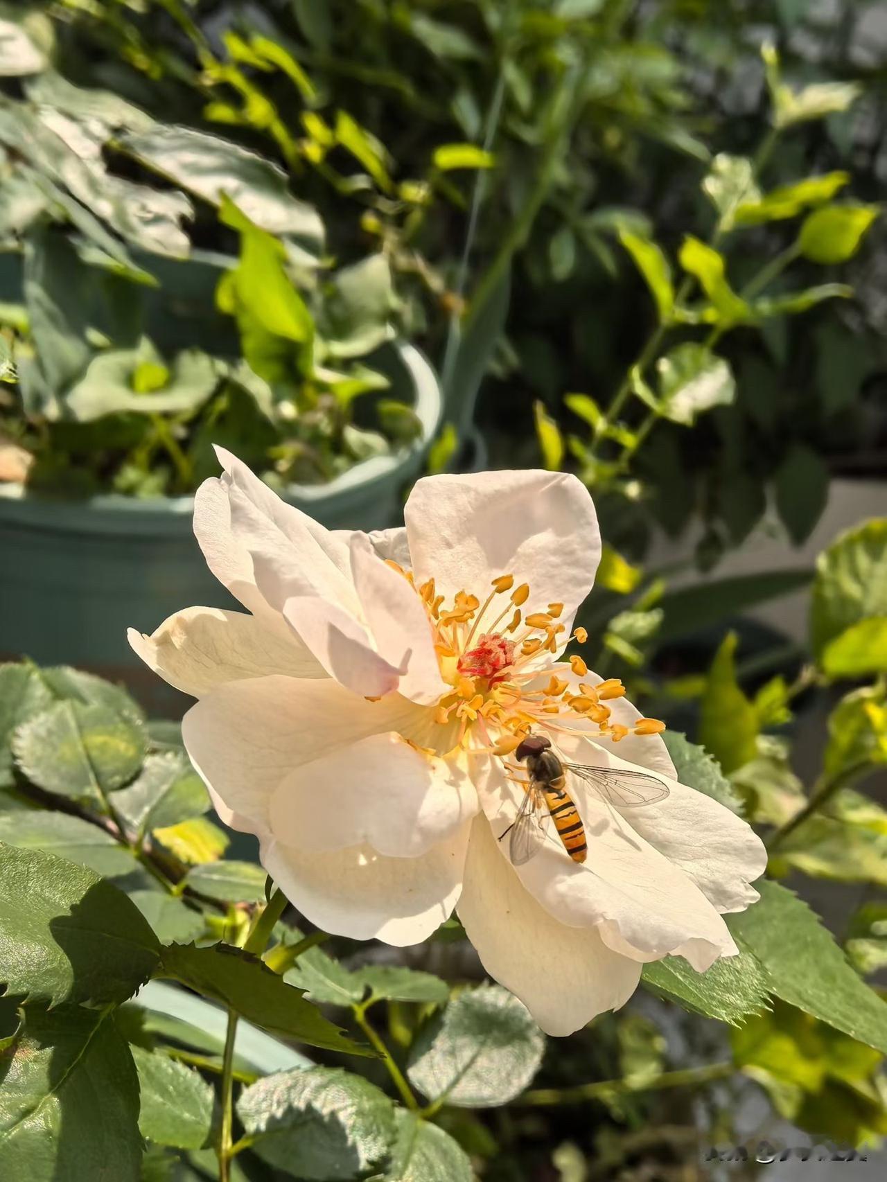 【小对联】
上：……？
下：反常。