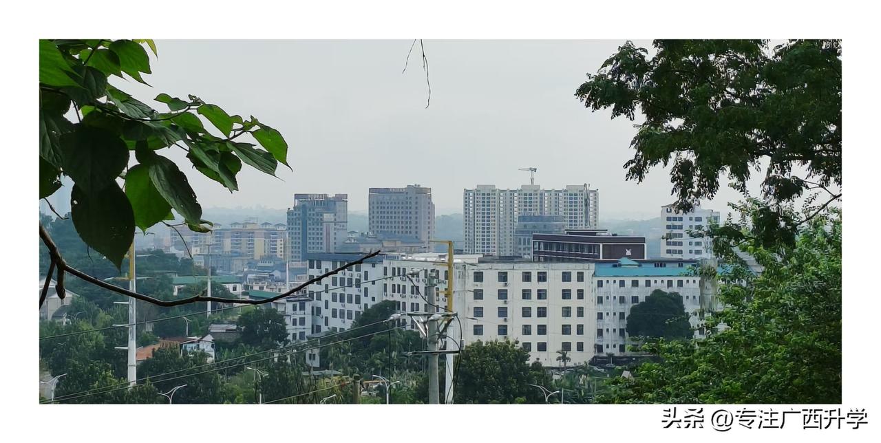早晨的街景，还是挺美的，忍不住就拍了几张。