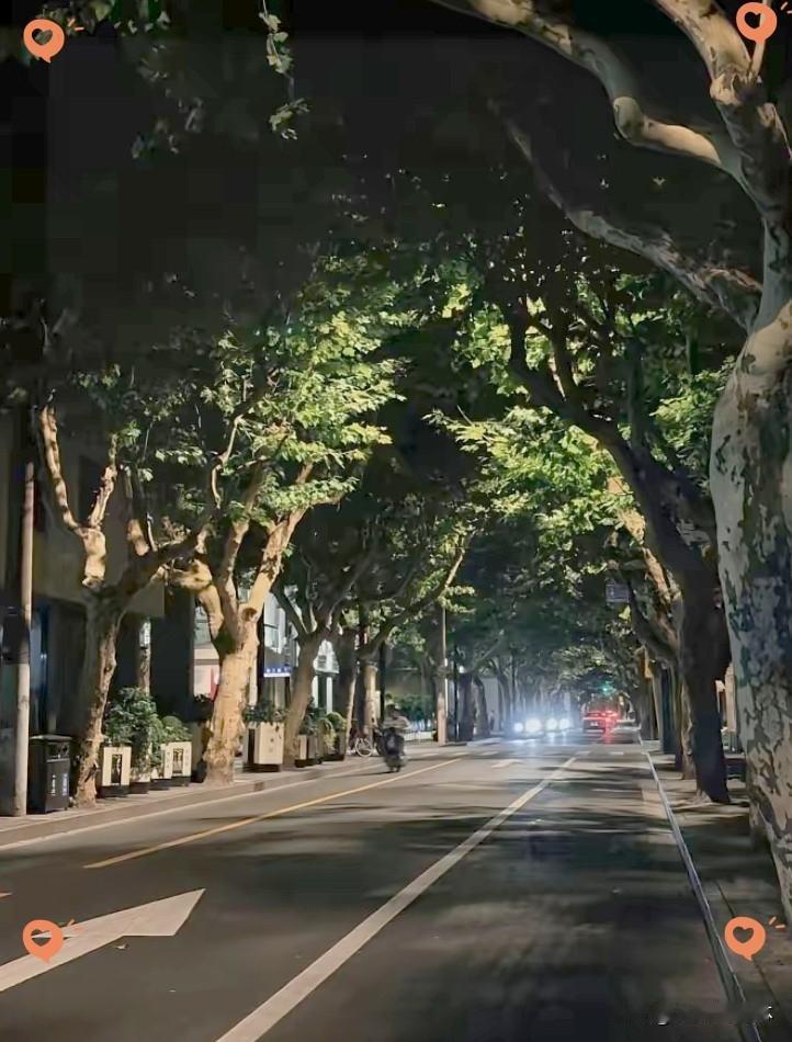 奉劝大家，
现在就重视起来，
千万不要再每天晚上去
熬夜了，你以为你熬的是夜，其