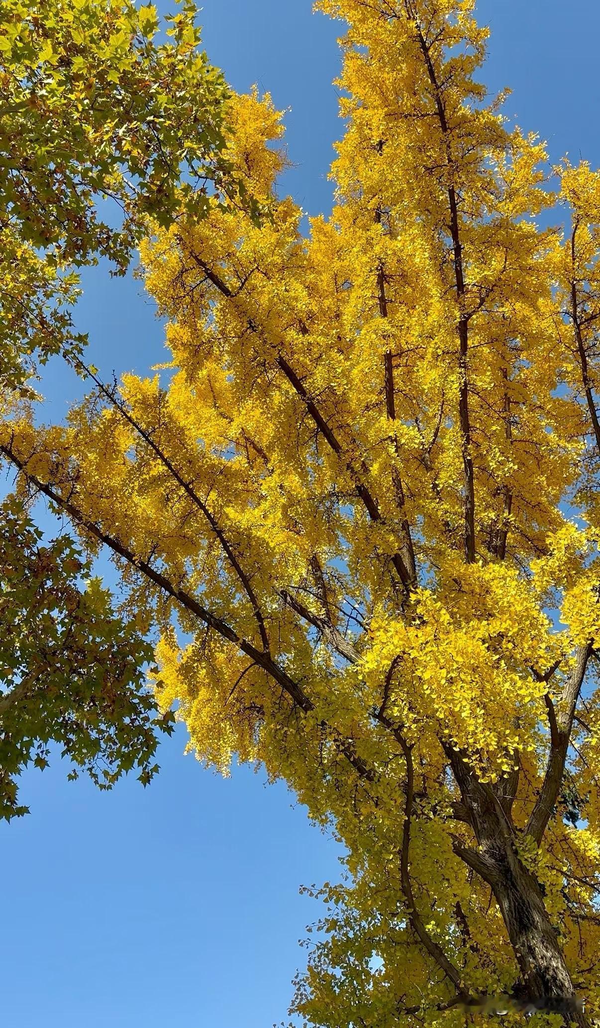 冬日生活打卡季