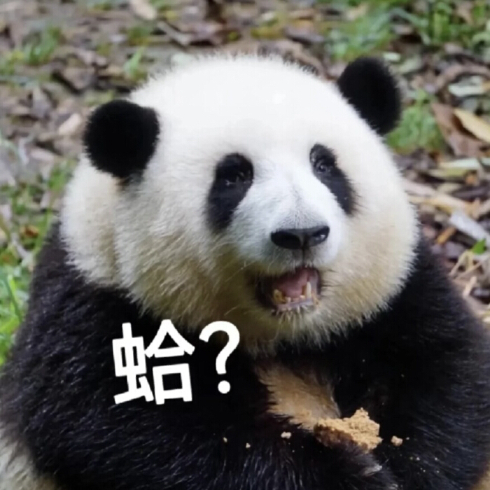 昨天以为是只🐷，结果今天发现是🐔，你们的下限是无限吗