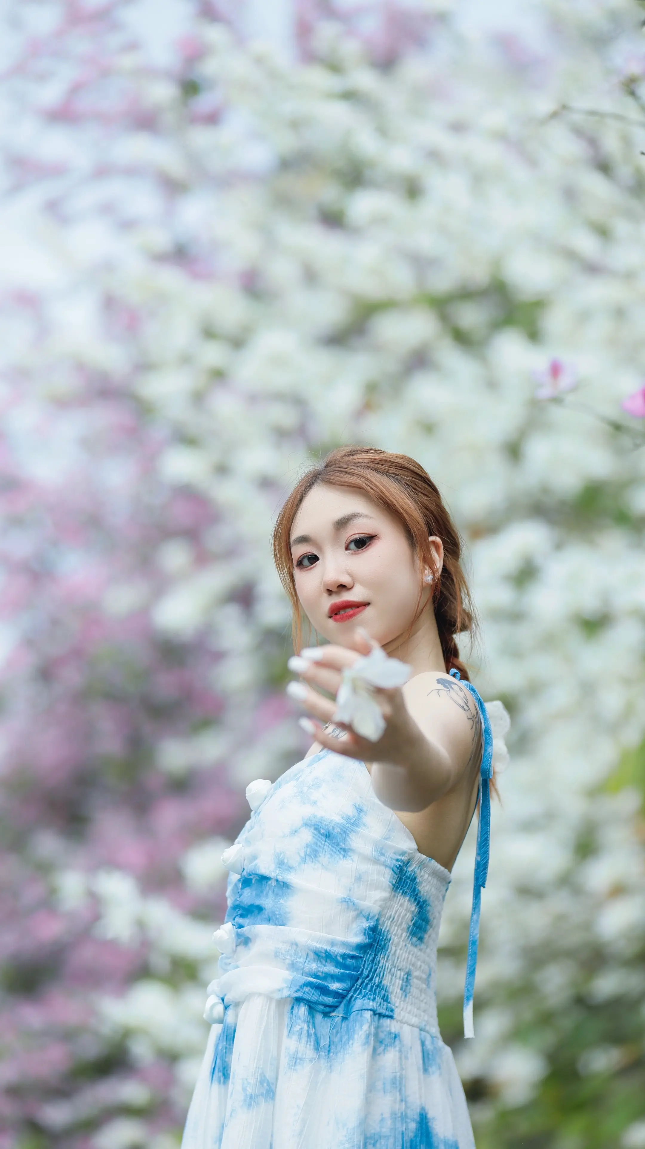 三都城南的紫荆花开，你打卡了吗？